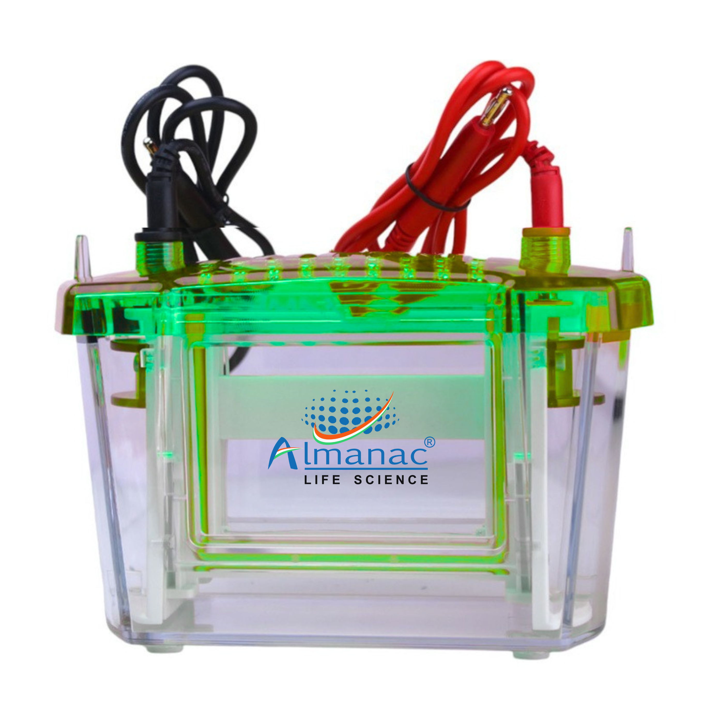 VERTICAL ELECTROPHORESIS